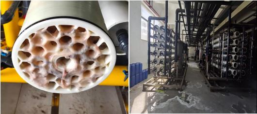 Polluted reverse osmosis membrane Polluted reverse osmosis membrane